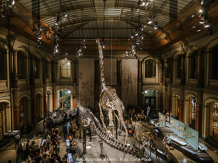 Naturkundemuseum Berlin